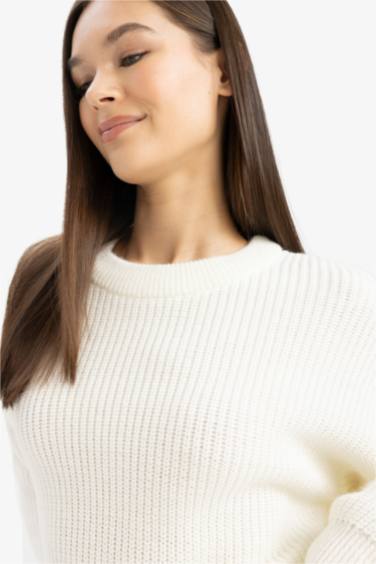 بلوفر قصة عادية برقبة مستديرة