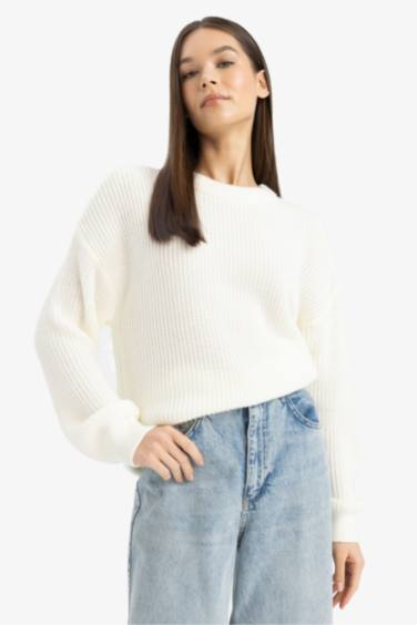 بلوفر قصة عادية برقبة مستديرة