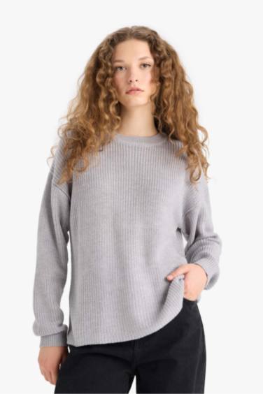 Regular Fit Crew Neck Basic Knit Pullover