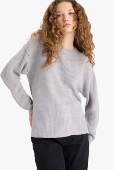 Regular Fit Crew Neck Basic Knit Pullover
