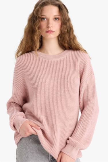 Regular Fit Crew Neck Basic Knit Pullover