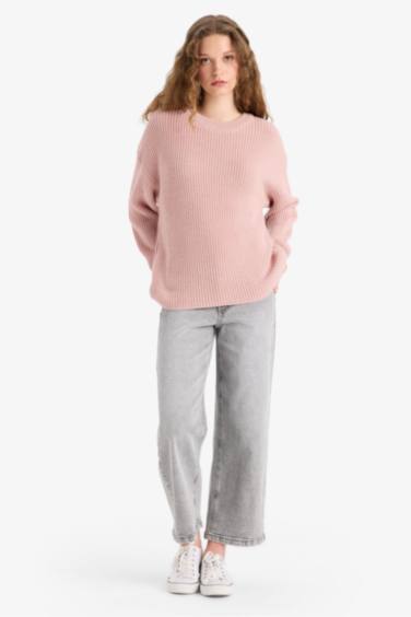 Regular Fit Crew Neck Basic Knit Pullover