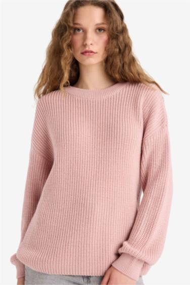 Regular Fit Crew Neck Basic Knit Pullover