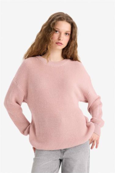 Regular Fit Crew Neck Basic Knit Pullover