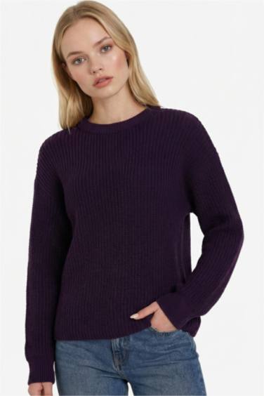 Regular Fit Bisiklet Yaka Selanik Kumaş Basic Düz Triko Kazak