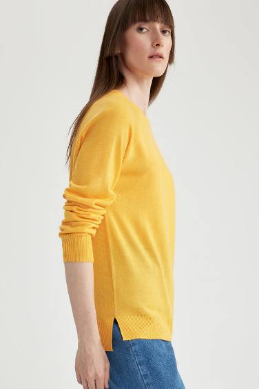 Regular Fit Crew Neck Basic Knitted Pullover