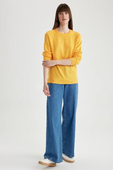 Regular Fit Crew Neck Basic Knitted Pullover