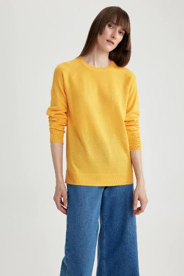 Regular Fit Crew Neck Basic Knitted Pullover