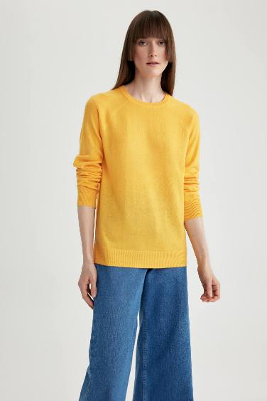 Regular Fit Crew Neck Basic Knitted Pullover