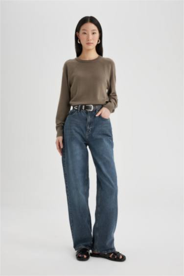 Regular Fit Crew Neck Pullover