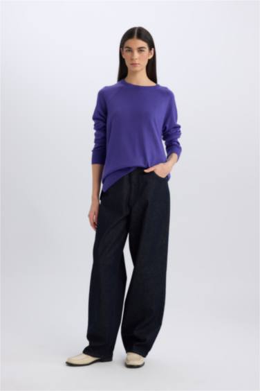 Regular Fit Yumuşak Dokulu Bisiklet Yaka Basic Düz Triko Kazak