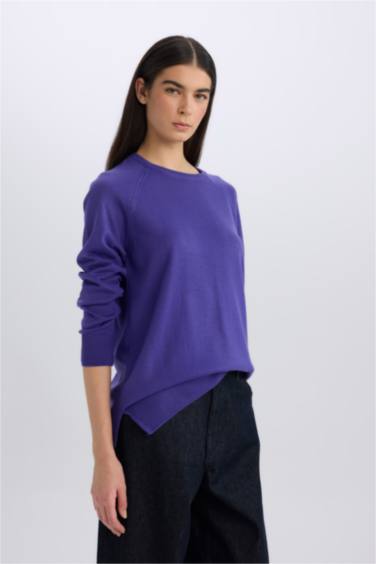 Regular Fit Yumuşak Dokulu Bisiklet Yaka Basic Düz Triko Kazak