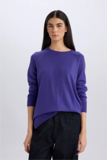 Regular Fit Yumuşak Dokulu Bisiklet Yaka Basic Düz Triko Kazak