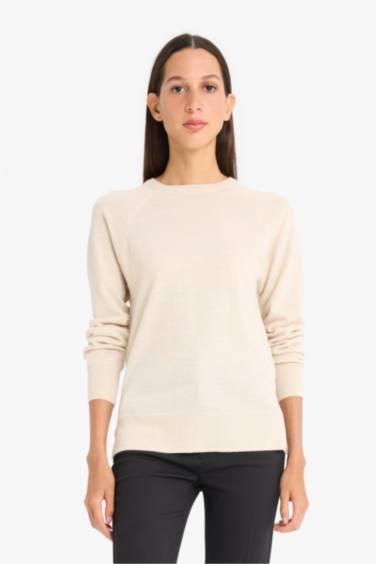 Relax Fit Crew Neck Basic Knit Pullover