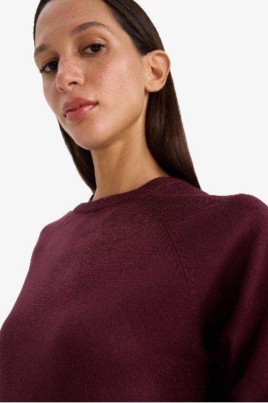 Relax Fit Bisiklet Yaka Basic Düz Triko Kazak