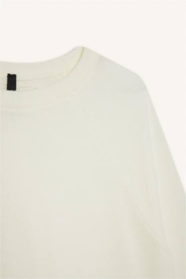 Relax Fit Crew Neck Basic Knit Pullover