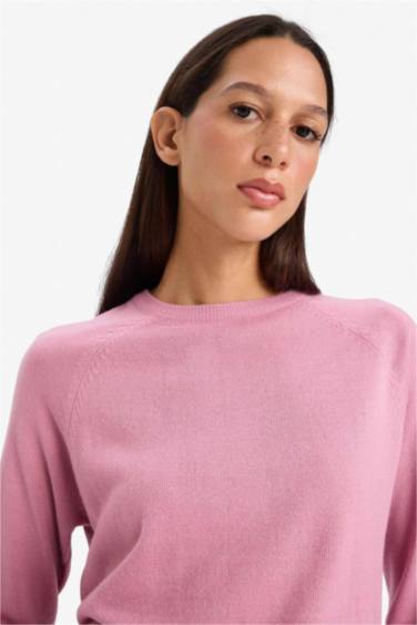 Relax Fit Bisiklet Yaka Basic Düz Triko Kazak