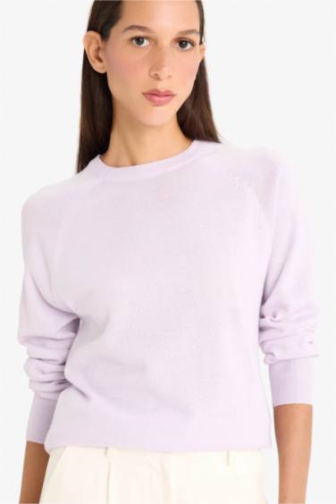Relax Fit Crew Neck Basic Knit Pullover