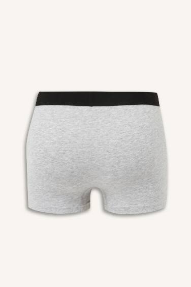 Regular Fit 3'lü Boxer