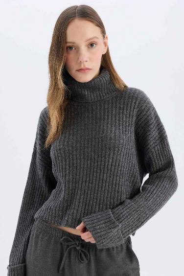 Pull en maille Oversize à col roulé