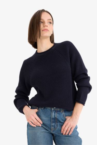Regular Fit Crew Neck Basic Knit Pullover