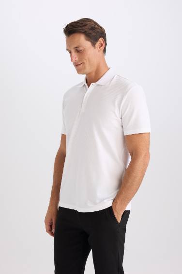 Slim Fit Dar Kesim Polo Yaka Kısa Kollu Pamuklu Basic Düz Tişört