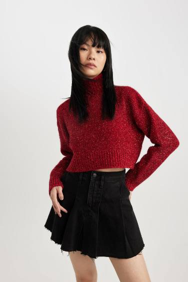 Regular Fit Turtleneck Knitwear Pullover