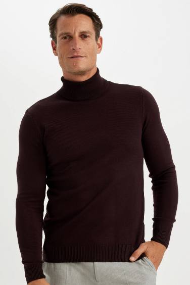 Pull en Tricot Slim Basique à Col roulé