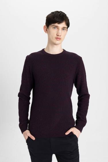 Pull en Tricot Coupe Standard Col Ras Du Cou