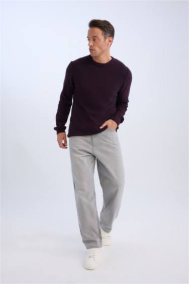 Pull en Tricot Coupe Standard Col Ras Du Cou