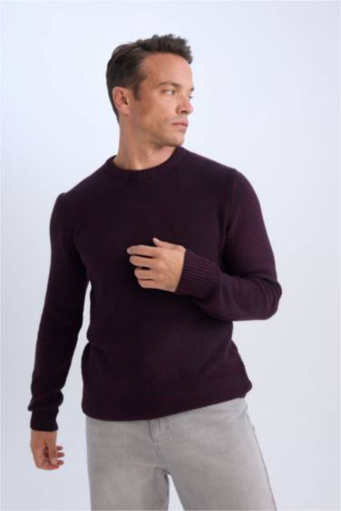 Pull en Tricot Coupe Standard Col Ras Du Cou