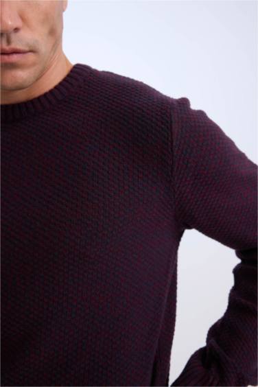 Pull en Tricot Coupe Standard Col Ras Du Cou