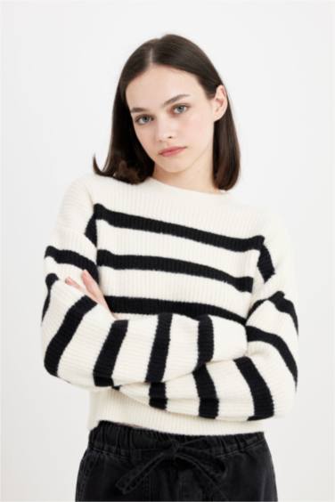 Regular Fit Çizgili Bisiklet Yaka Triko Kazak