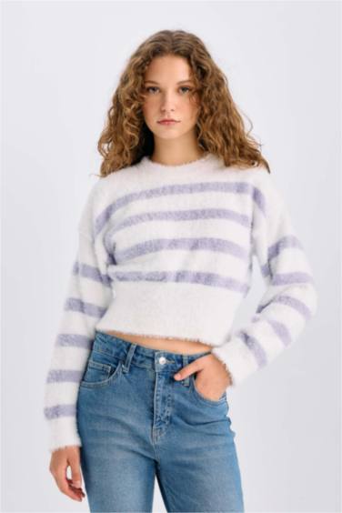 Regular Fit Striped Crew Neck Knit Pullover