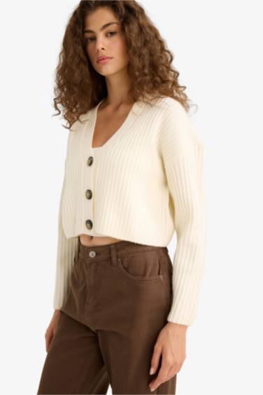 Regular Fit V-Neck Cardigan