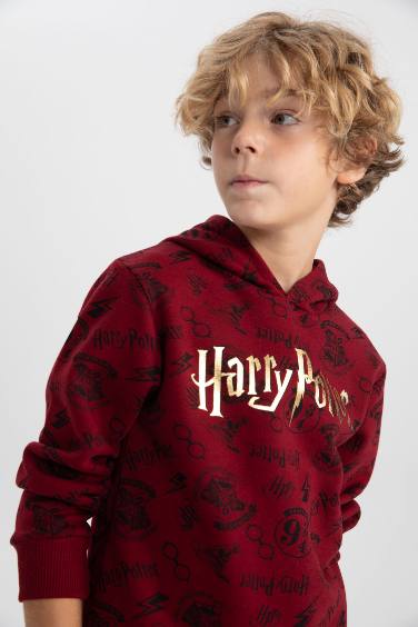 Regular Fit Harry Potter Licensed Hooded Sweatshirt