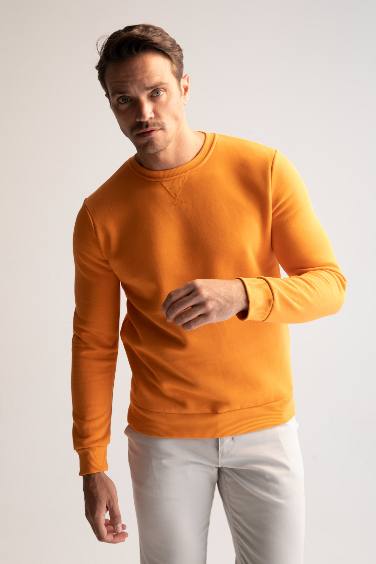 Regular fit crew neck basic sweatshirt