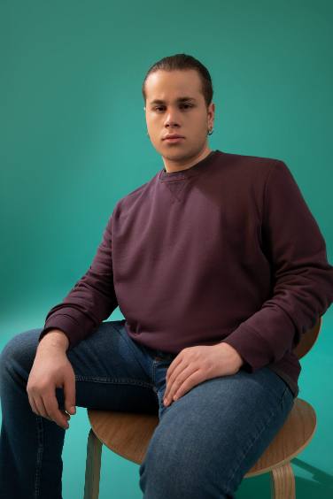 Regular Fit Sweatshirt