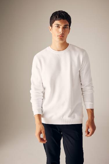 Regular Fit Sweatshirt