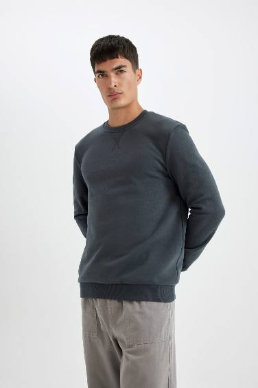 Regular Fit Thick Basic Sweatshirt