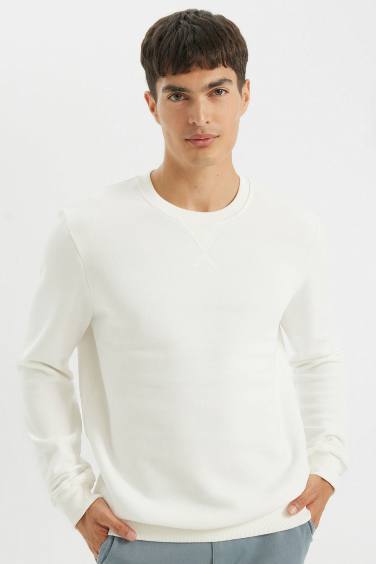 Regular Fit Crew Neck Thick Basic Sweatshirt