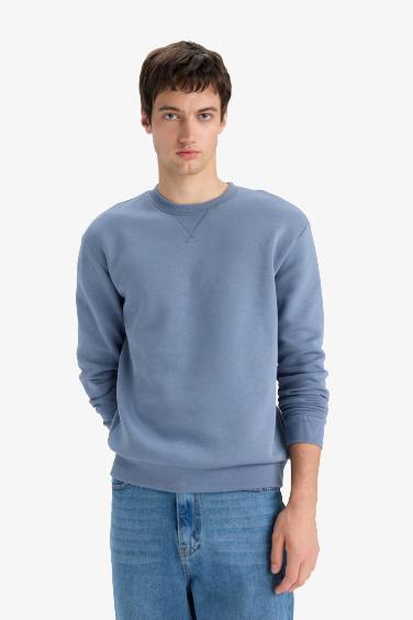 Regular Fit Crew Neck Basic Thick Sweatshirt