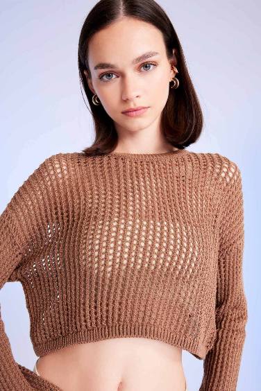 Regular Fit Crew Neck Crochet Openwork Crop Knitted Pullover