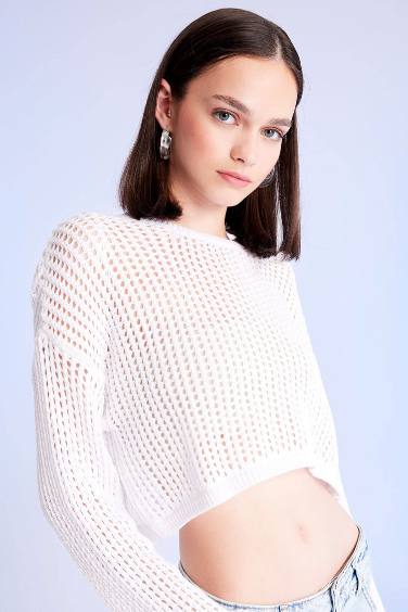 Regular Fit Crew Neck Crochet Openwork Crop Knitted Pullover