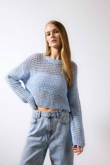 Regular Fit Crew Neck Crochet Pullover