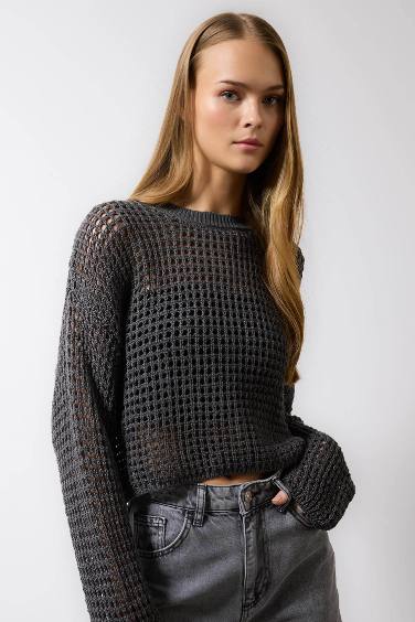 Regular Fit Crew Neck Crochet Knitted Pullover