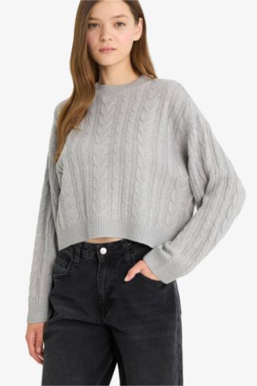 Regular Fit Crew Neck Knitted Pullover