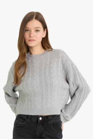 Regular Fit Crew Neck Knitted Pullover