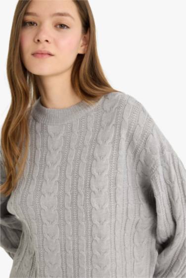 Regular Fit Crew Neck Knitted Pullover