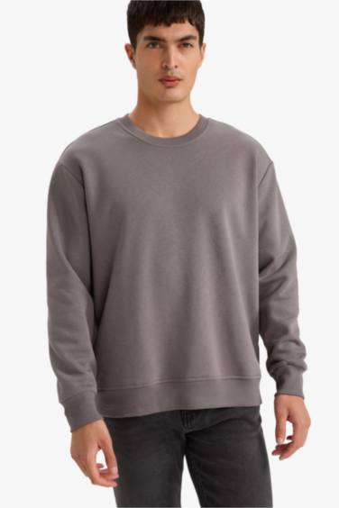 Relax Fit Crew Neck Thick Basic Sweatshirt